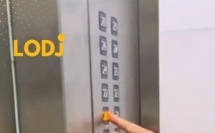 صبر ورحمة… رحلة طريفة لكلب داخل المصعد بحثاً عن بيته