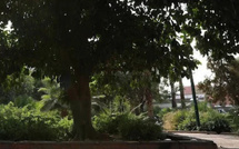 موجة حرارة مبكرة بالمغرب: بين انطباع “صيف مستعجل” وتأكيد الخبراء على الطابع الطبيعي