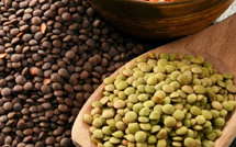 العدس بين الفوائد الغذائية وتأثيراته الليلية: غذاء صحي يحتاج إلى توازن في الاستهلاك
