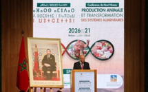 البواري من مكناس : إنتاج الحبوب يقترب من 90 مليون قنطار في ظل موسم  فلاحي واعد