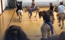 لعبة تجمع بين كرة السلة والحمير تنتشر عالمياً