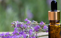 الخُزامى السِّبِيك (Lavande aspic): زيت عطري طبيعي متعدد الفوائد للعناية بالبشرة