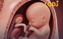 الحمل مرتبط بتعديلات في مناطق التعاطف والفهم الاجتماعي