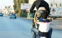 أمن مراكش يوقف ثلاثة أشخاص بسبب السياقة الاستعراضية وتعريض سلامة المواطنين للخطر