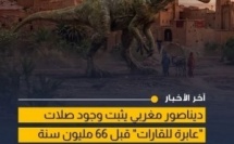 اكتشاف نوع جديد من الديناصورات بخريبكة يعود لملايين السنين