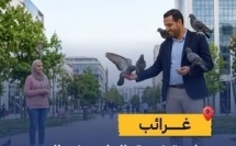 طيور المدن تسمح للرجال بالاقتراب أكثر مقارنة بالنساء وفق بحث أوروبي