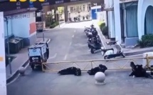 طوموبيل كهربائية صدمت حراس الأمن بطريقة كوميدية غير متوقعة