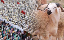 وزارة الأوقاف تعلن رسمياً : عيد الأضحى بالمغرب يوم 27 ماي 2026
