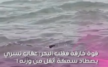 هاد الفيديو كيبين عظمة الخالق وقوة الطبيعة فـ أبهى صورها