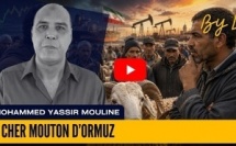 Au Maroc, même les moutons ont désormais une conscience géopolitique…