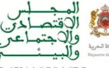 المجلس الاقتصادي والاجتماعي والبيئي يدعو إلى إصلاح عاجل للتكوين المستمر في القطاع الخاص