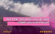 فـ لقطة ساحرة كاتوّقف الزمن، توثق فيديو لخيول كاتجرى بكل حرية فـ قرية "بالتا" (Balta village) الواقعة فـ جمهورية أوسيتيا الشمالية-ألانيا التابعة للاتحاد الروسي