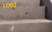 فيديو مرعب وكيبكي كيروج بقوة هاد الأيام فـ منصات التواصل الاجتماعي؛ كيوثق لواحد اللحظة خطيرة دالت على قمة التنمر والعنف المدرسي فـ وحدة من المدارس فـ الصين.