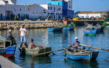 تراجع كميات الصيد الساحلي بميناء المضيق بنسبة 30%  نهاية ماي 2026