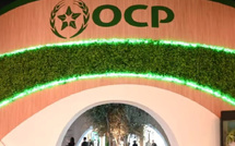 مجموعة OCP تنجح في تعبئة 5 مليارات درهم عبر إصدار سندات دائمة لتعزيز تمويلاتها طويلة الأمد