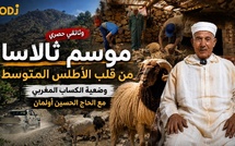موسم "ثالاسا" بجبال الأطلس المتوسط.. عندما يتحول جزّ الصوف إلى تراث حي يعكس واقع الكساب المغربي