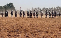 حين تنطق الخيول بلسان التراث