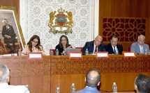 ​جينيسيس تقترب من دخول عالم شاحنات البيك أب الفاخرة بمشروع جديد يعيد رسم ملامح المنافسة