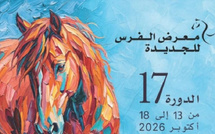 معرض الفرس بالجديدة يضع البحث العلمي والتراث الفرسي في صلب دورته السابعة عشرة