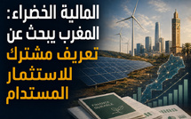 المالية الخضراء: المغرب يبحث عن تعريف مشترك للاستثمار المستدام