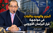 الحزم والهدوء والثبات في مواجهة قرار البرلمان الأوروبي
