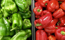 صادرات الفلفل المغربي تقفز 60% نحو بريطانيا