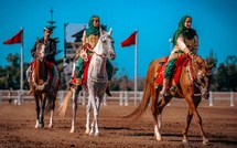 الخيالة السلطانية لسلطنة عُمان تشارك لأول مرة في معرض الفرس بالجديدة